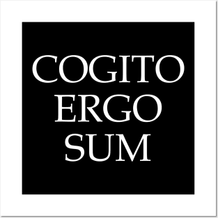 Cogito, ergo sum Posters and Art